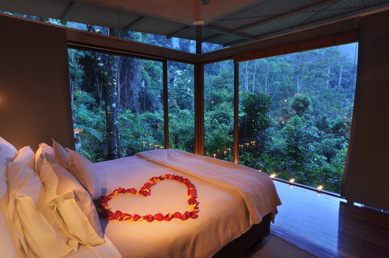 Crystal Creek Rainforest Retreat Eksteriør billede