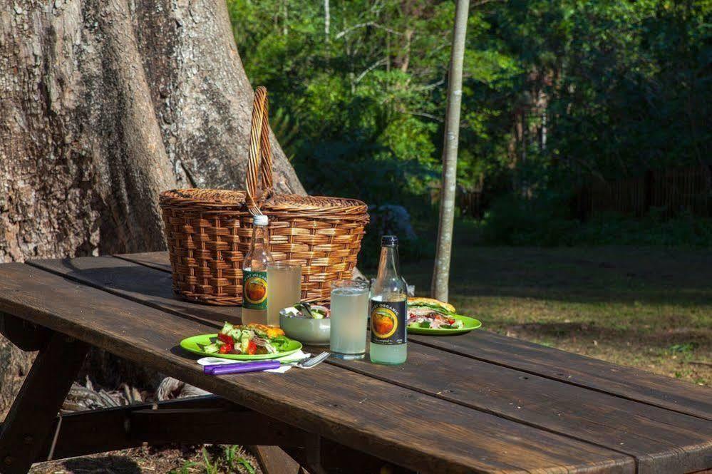 Crystal Creek Rainforest Retreat Eksteriør billede